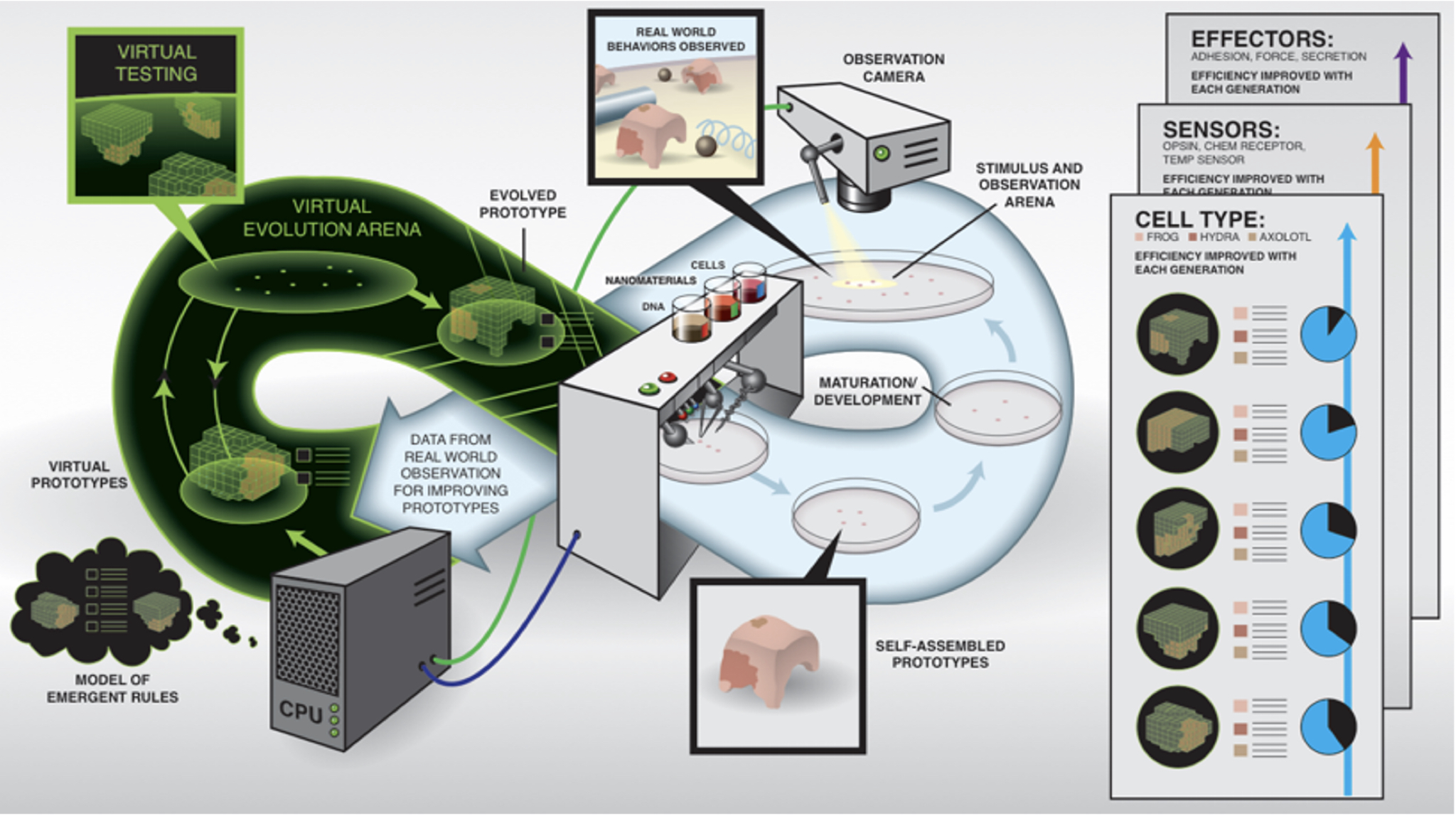 Biobot prototype, July 2024
